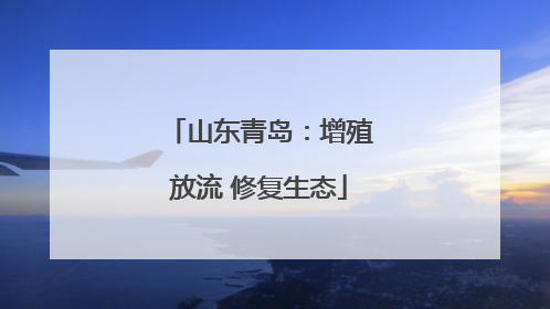 山东青岛：增殖放流 修复生态