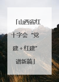 山西省红十字会“党建＋红建”谱新篇