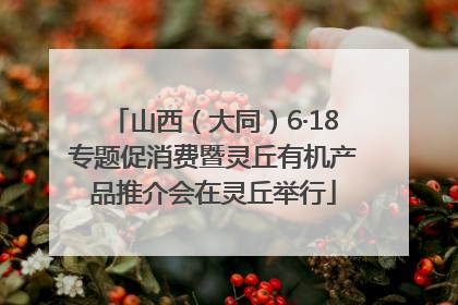山西（大同）6·18专题促消费暨灵丘有机产品推介会在灵丘举行