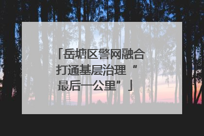 岳塘区警网融合 打通基层治理“最后一公里”