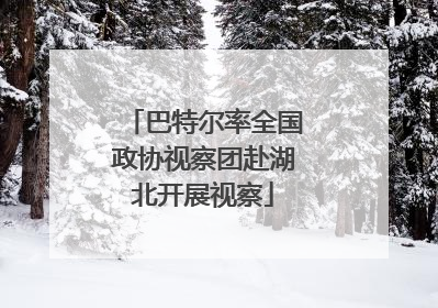 巴特尔率全国政协视察团赴湖北开展视察