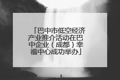 巴中市低空经济产业推介活动在巴中企业（成都）幸福中心成功举办