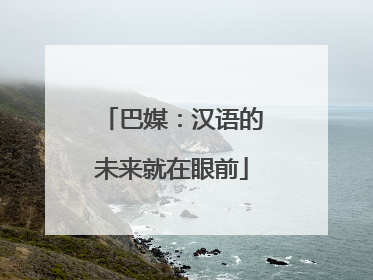 巴媒：汉语的未来就在眼前