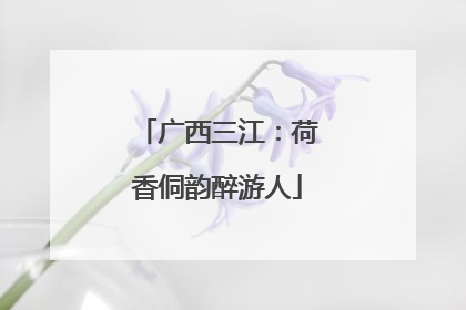 广西三江：荷香侗韵醉游人