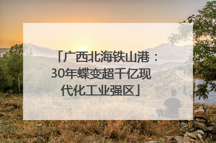 广西北海铁山港：30年蝶变超千亿现代化工业强区