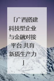 广西搭建科技型企业与金融对接平台 共育新质生产力