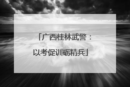 广西桂林武警：以考促训砺精兵
