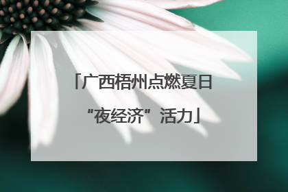 广西梧州点燃夏日“夜经济”活力