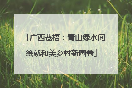 广西苍梧：青山绿水间绘就和美乡村新画卷