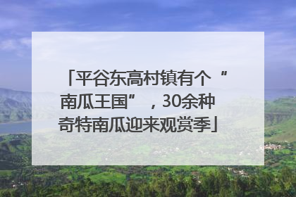 平谷东高村镇有个“南瓜王国”，30余种奇特南瓜迎来观赏季