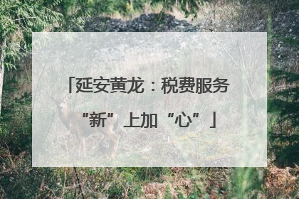 延安黄龙：税费服务“新”上加“心”