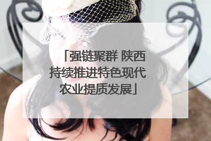 强链聚群 陕西持续推进特色现代农业提质发展
