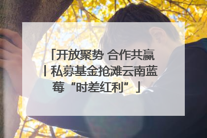 开放聚势 合作共赢丨私募基金抢滩云南蓝莓“时差红利”