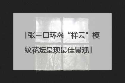 张三口环岛“祥云”模纹花坛呈现最佳景观