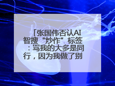 张国伟否认AI智搜“炒作”标签：骂我的大多是同行，因为我做了别人做不了的事