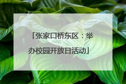 张家口桥东区：举办校园开放日活动
