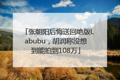 张朝阳后悔送回绝版Labubu，胡润称没想到能拍到108万
