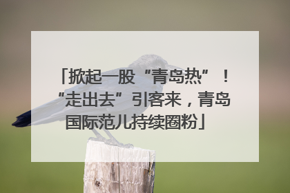 掀起一股“青岛热”！“走出去”引客来，青岛国际范儿持续圈粉