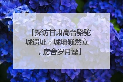 探访甘肃高台骆驼城遗址：城墙巍然立，房舍岁月湮
