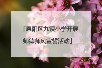 恩阳区九镇小学开展师德师风宣誓活动