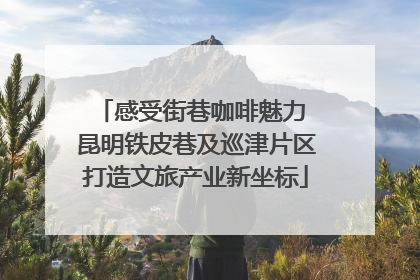 感受街巷咖啡魅力 昆明铁皮巷及巡津片区打造文旅产业新坐标
