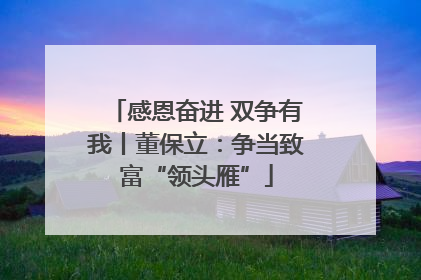 感恩奋进 双争有我丨董保立：争当致富“领头雁”