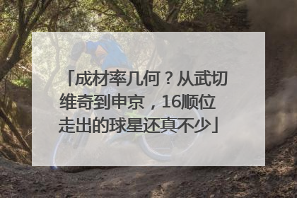 成材率几何？从武切维奇到申京，16顺位走出的球星还真不少