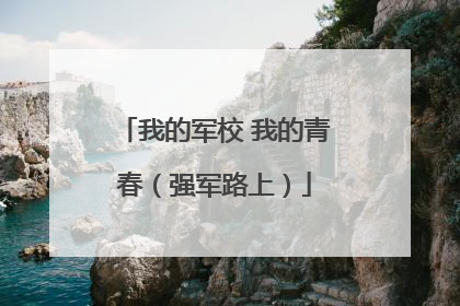 我的军校 我的青春（强军路上）