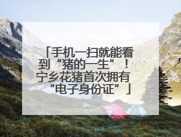 手机一扫就能看到“猪的一生”！宁乡花猪首次拥有“电子身份证”