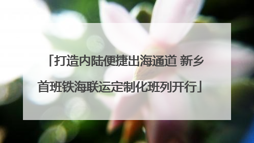打造内陆便捷出海通道 新乡首班铁海联运定制化班列开行