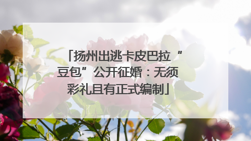 扬州出逃卡皮巴拉“豆包”公开征婚：无须彩礼且有正式编制