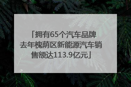 拥有65个汽车品牌 去年槐荫区新能源汽车销售额达113.9亿元