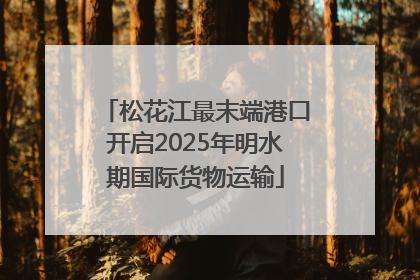 松花江最末端港口开启2025年明水期国际货物运输