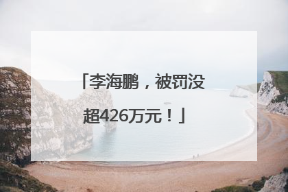 李海鹏，被罚没超426万元！