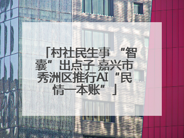 村社民生事 “智囊”出点子 嘉兴市秀洲区推行AI“民情一本账”