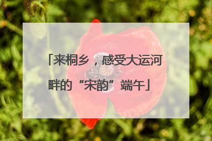 来桐乡，感受大运河畔的“宋韵”端午