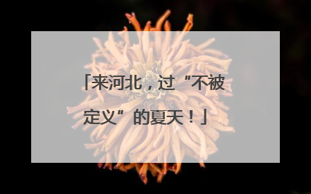 来河北，过“不被定义”的夏天！