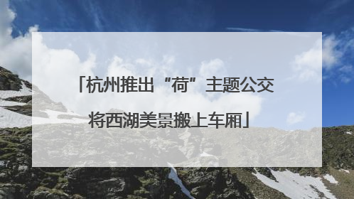 杭州推出“荷”主题公交 将西湖美景搬上车厢