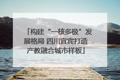 构建“一核多极”发展格局 四川宜宾打造产教融合城市样板