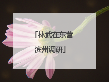 林武在东营滨州调研