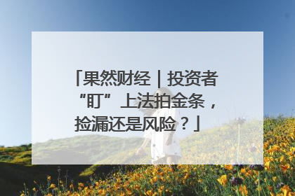 果然财经｜投资者“盯”上法拍金条，捡漏还是风险？