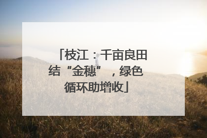 枝江：千亩良田结“金穗”，绿色循环助增收