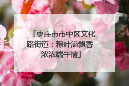 枣庄市市中区文化路街道：粽叶溢飘香 浓浓端午情