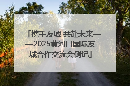携手友城 共赴未来——2025黄河口国际友城合作交流会侧记