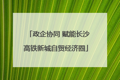 政企协同 赋能长沙高铁新城自贸经济圈