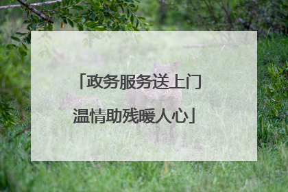 政务服务送上门 温情助残暖人心