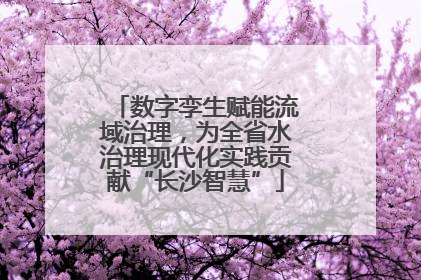数字孪生赋能流域治理，为全省水治理现代化实践贡献“长沙智慧”