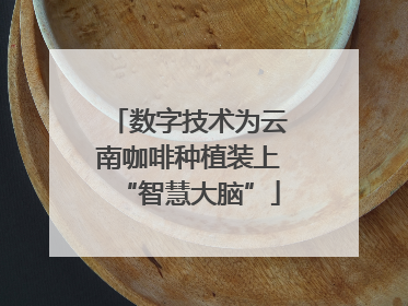 数字技术为云南咖啡种植装上“智慧大脑”