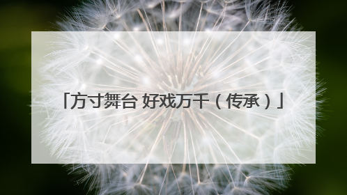 方寸舞台 好戏万千（传承）