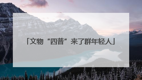 文物“四普”来了群年轻人
